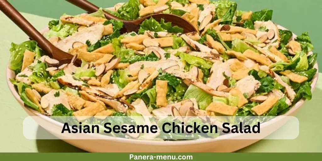 Panera Bread Salad Catering Menu with Prices – Full 2026 Guide