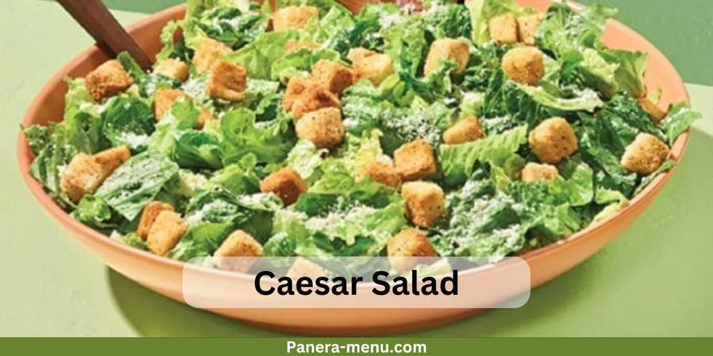 Caesar Salad