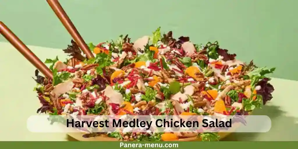 Panera Bread Salad Catering Menu